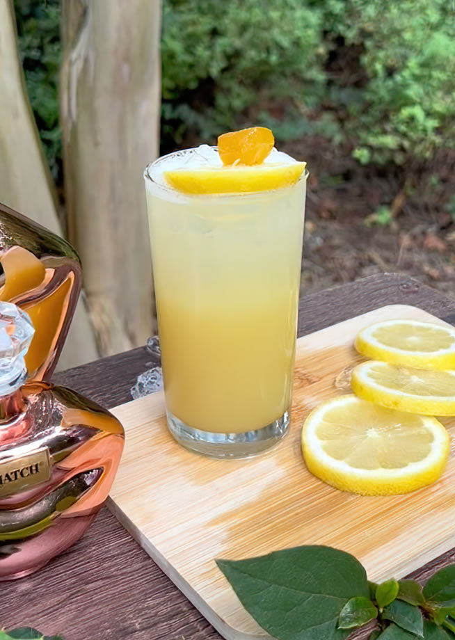This refreshing cocktail mixes BIATCH rosa with lemon juice, ginger syrup, and bitters, topped with club soda and garnished with lemon and candied ginger.